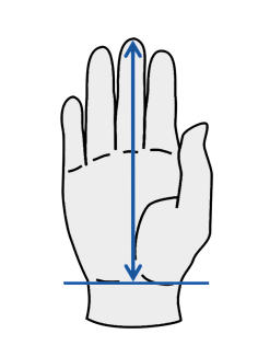 Mesure de la main