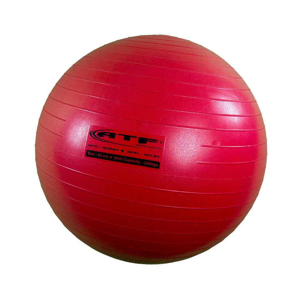 Ballon Suisse de Gym avec Pompe