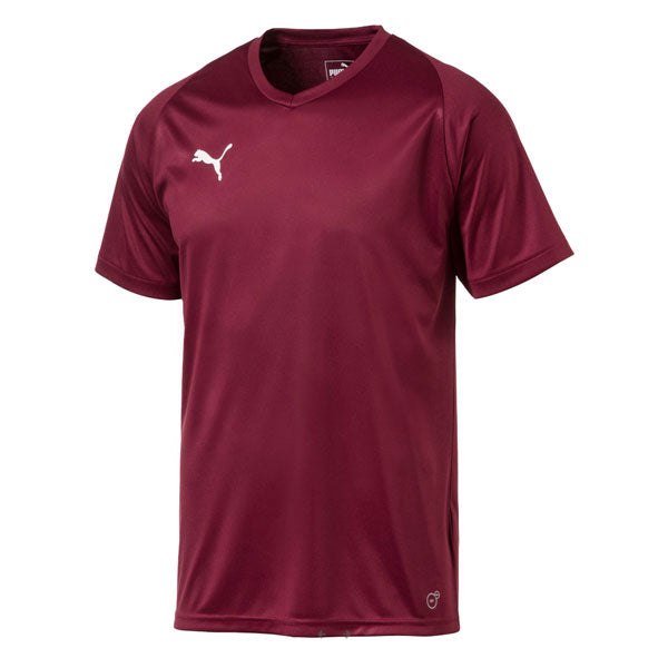 puma liga marron