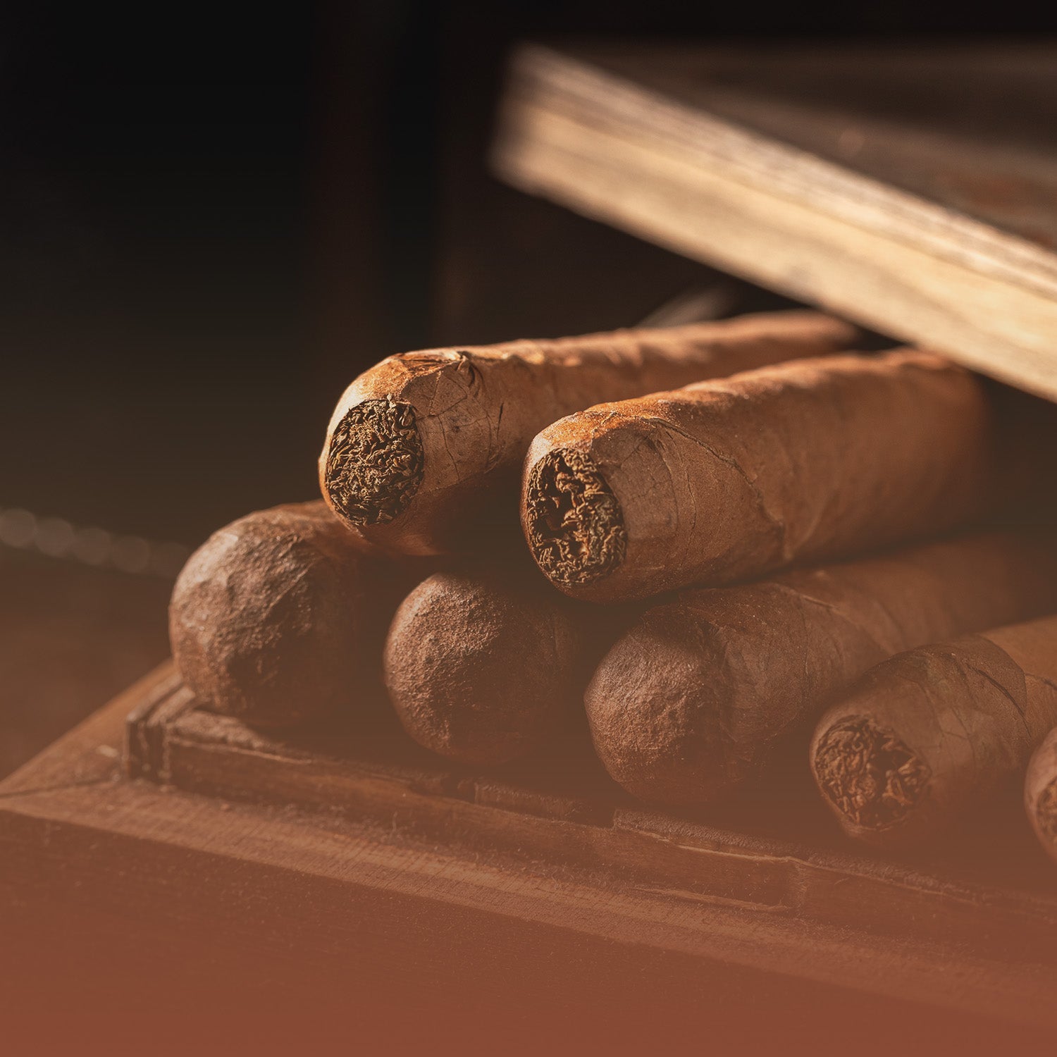 Zigarren jetzt online kaufen – C-cigars