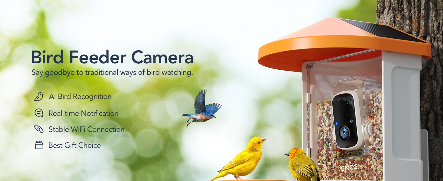 Bird Buddy Smart Bird Feeder Identifies Your Bird Friends Using AI