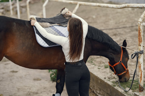 hoevaak paardendekens wassen