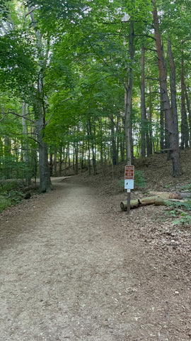 path through the woods to water saugutuck state park