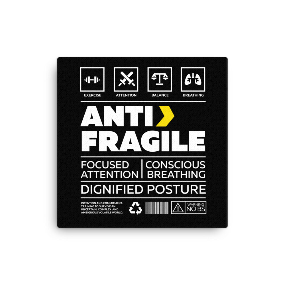 Anti Fragile Canvas Wall Art
