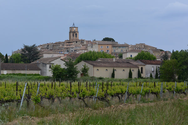 vineyard-provence-france