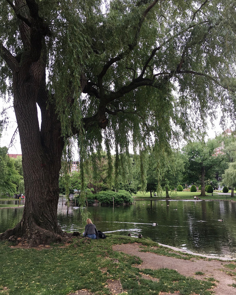 Brooklyn Bicycle Boston Gardens