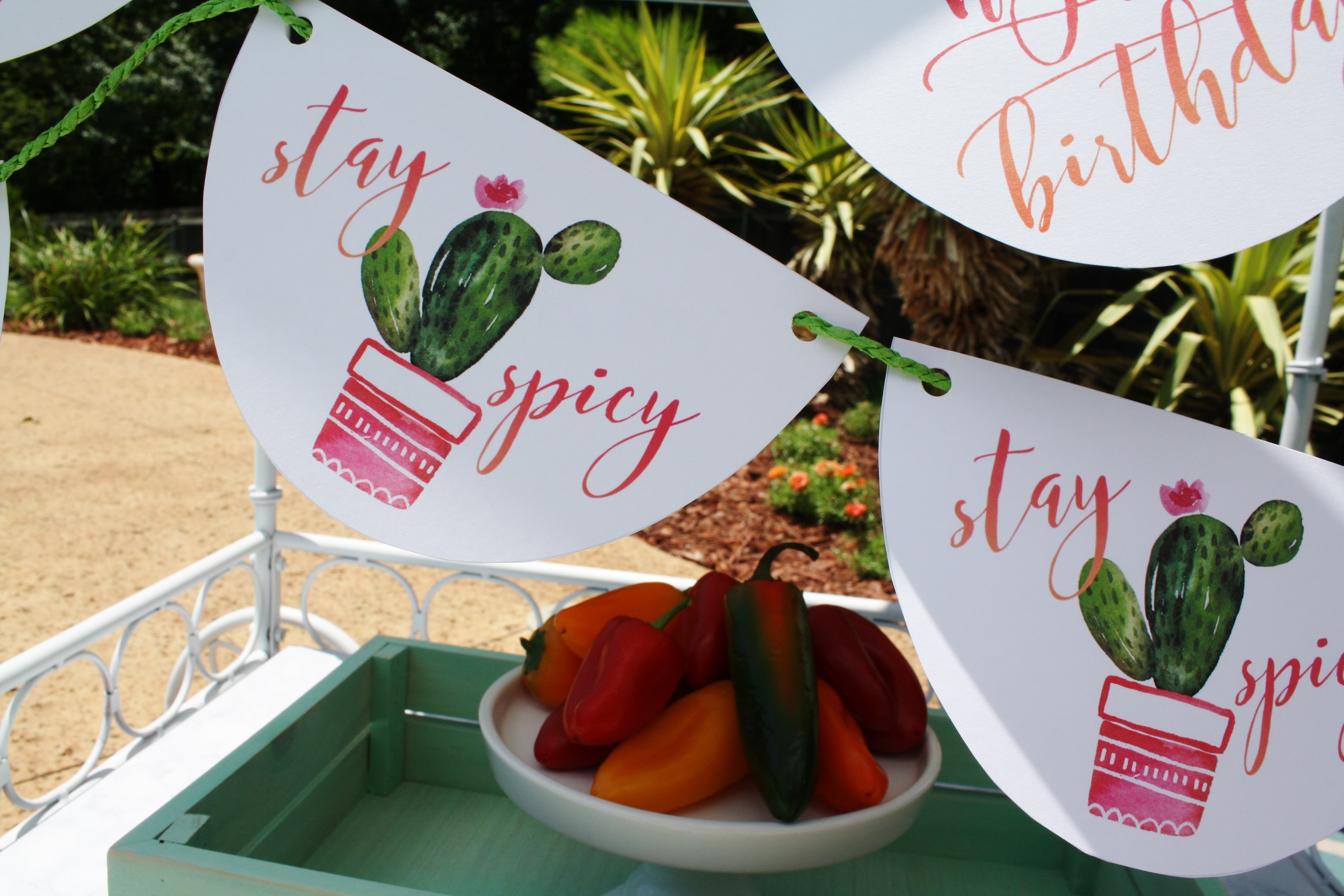 printable-cactus-party-banner-stay-spicy-cactus-birthday-banner-by-su