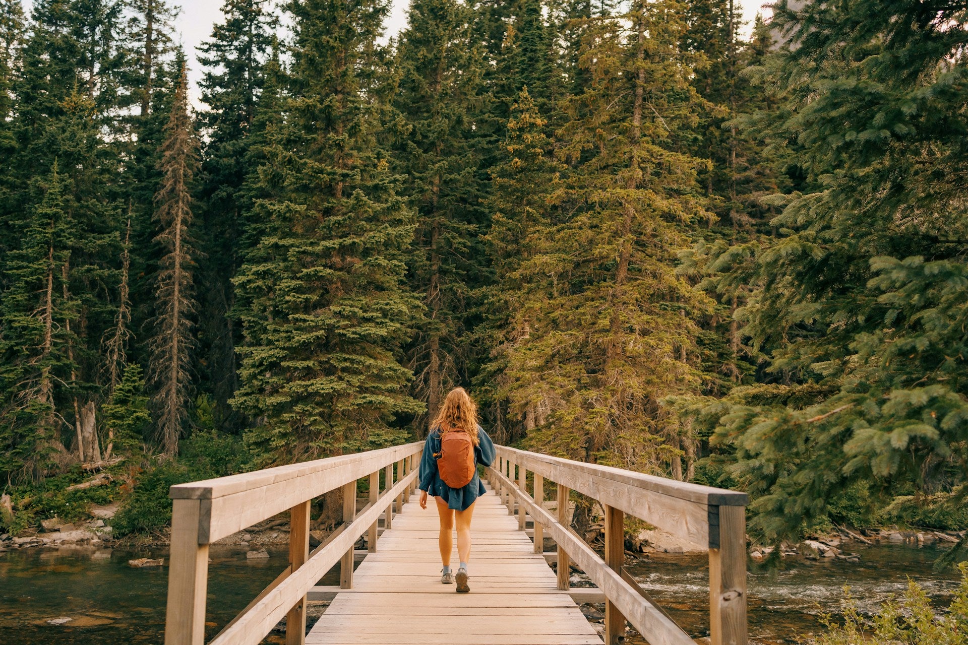 A woman with long red hair walking away from the camera across a bridge into a forest of tall evergreens