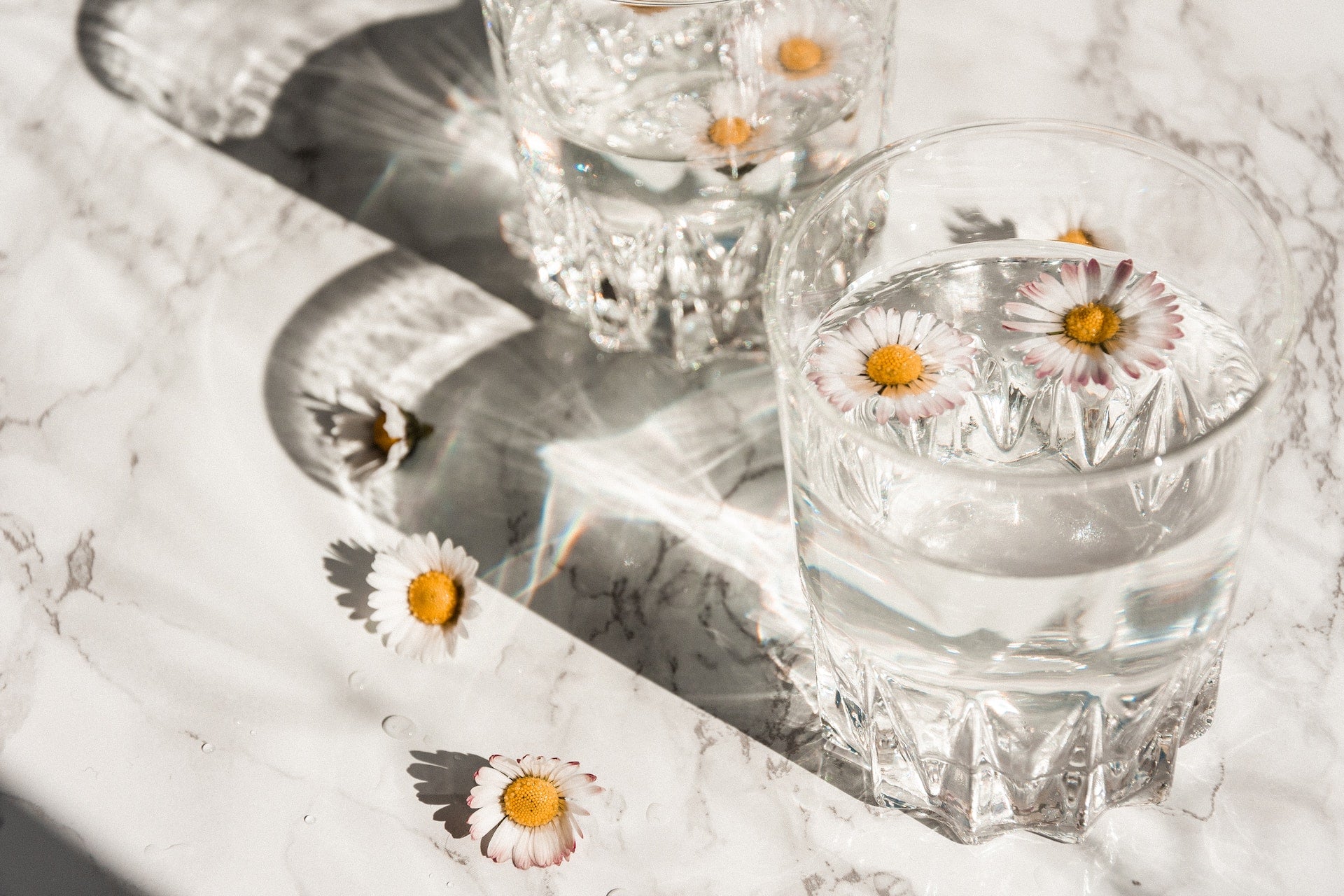 White flowers with yellow center in water and scattered on linens on a table