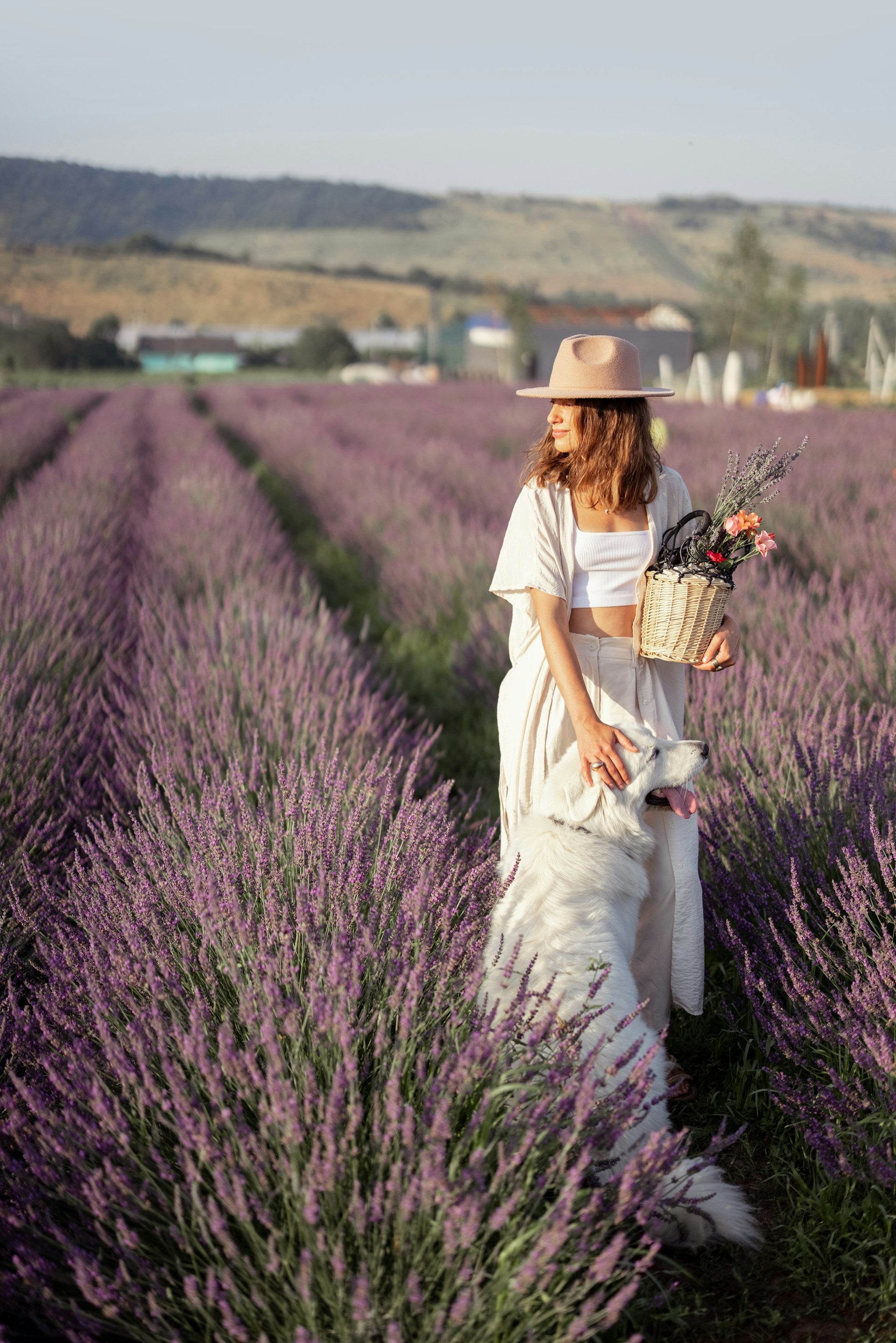 Blonde woman with short hair walking through a field of lavender with her dog