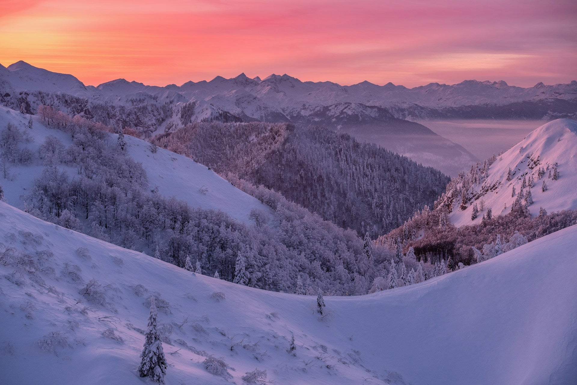 A vibrant pink sunset over a snow-covered mountain range