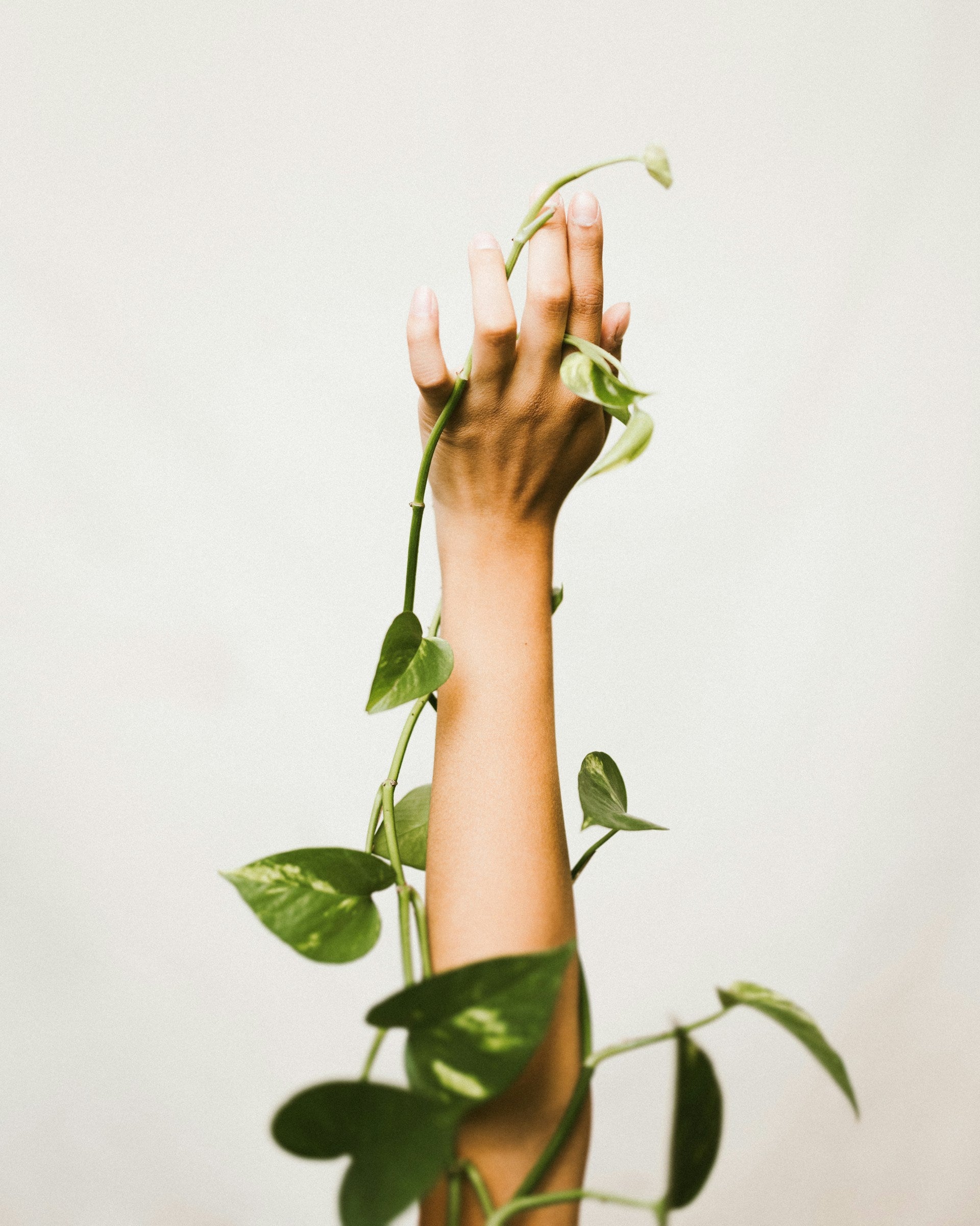 A hand reaching up with a vine of a pathos plant wrapped around the person's arm
