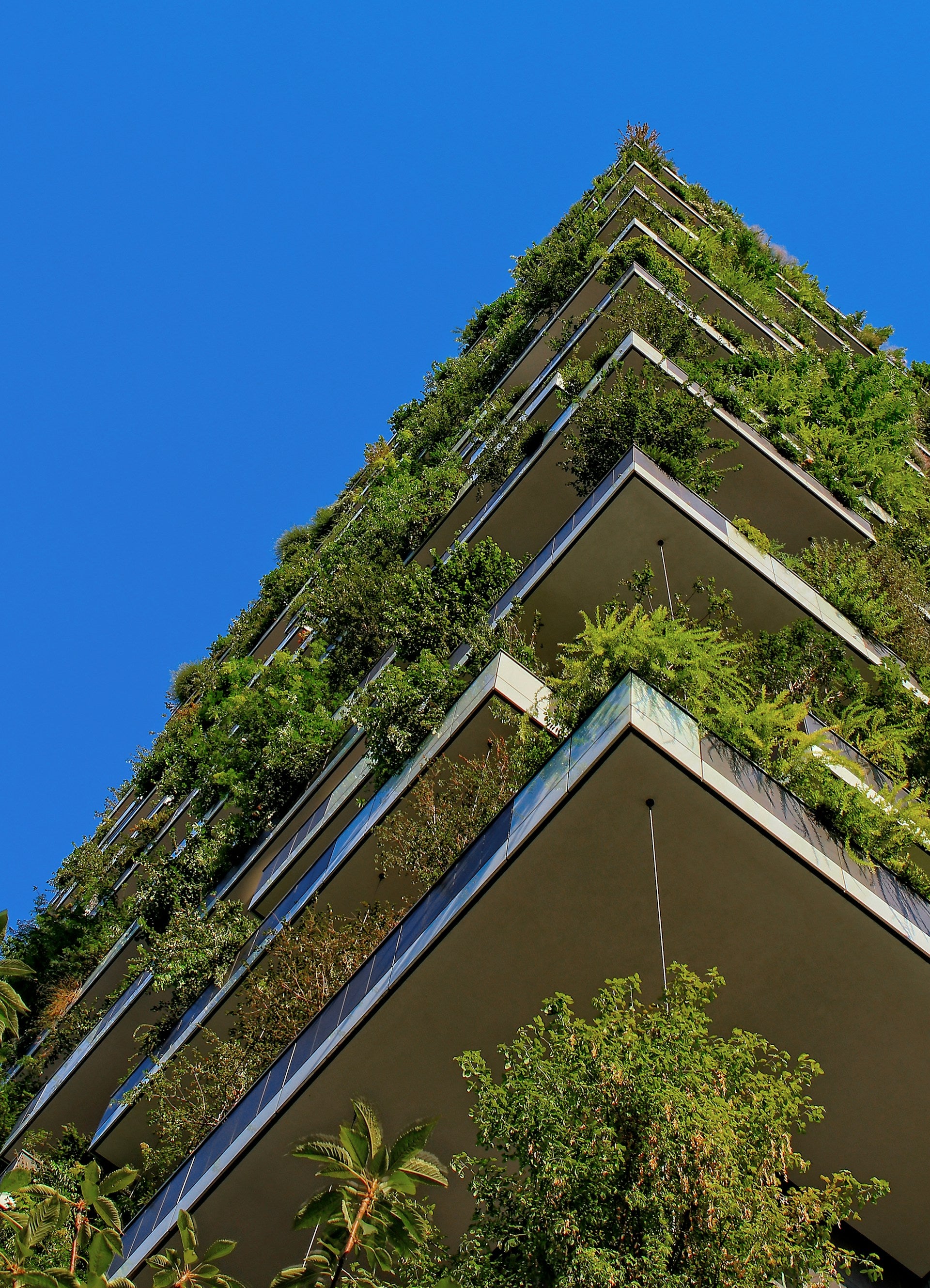 A building covered in greenery in an urban setting with the bright blue sky as the background