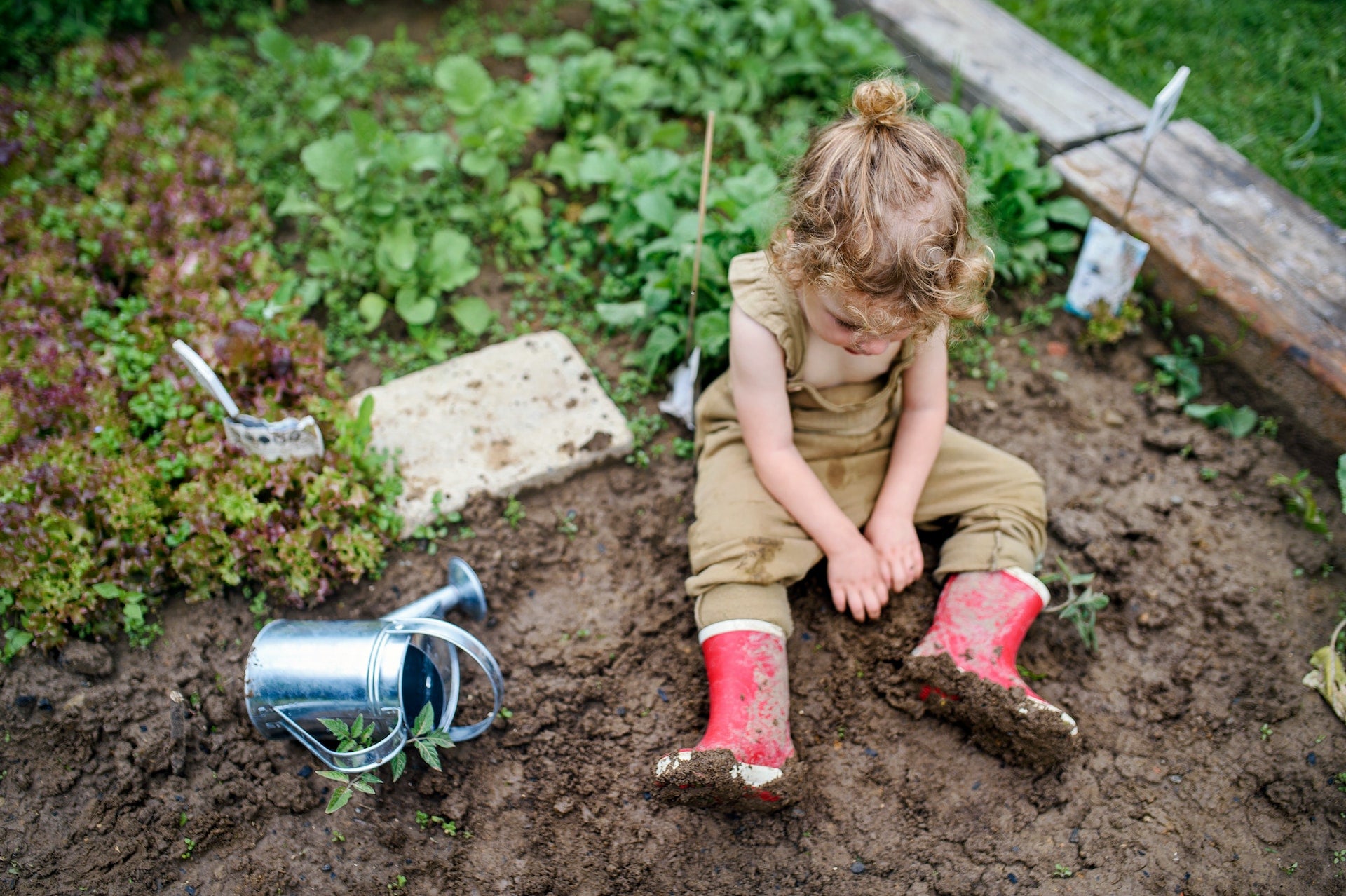 Toddler wearing red rain boots sitting in a garden bed, playing with the dirt.