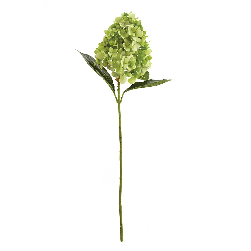 Cone Hydrangea Stem 28"- Green