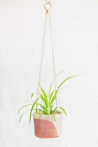 Arch Colorblock Hanging Planter