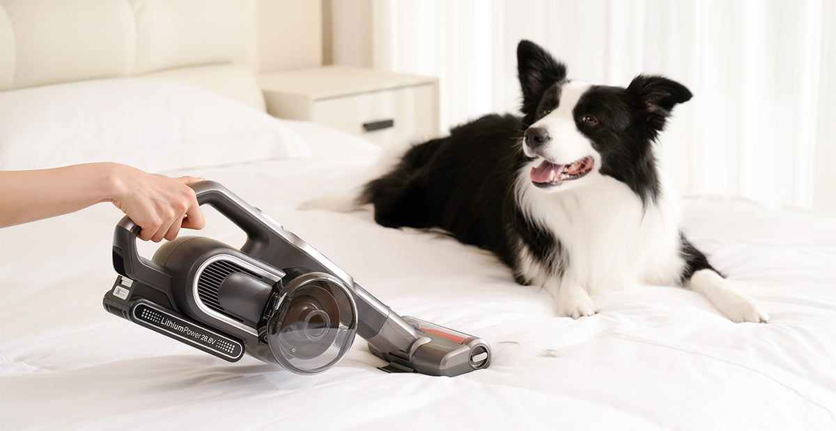 How Vacuum Cleaners Reduce Allergies Details
