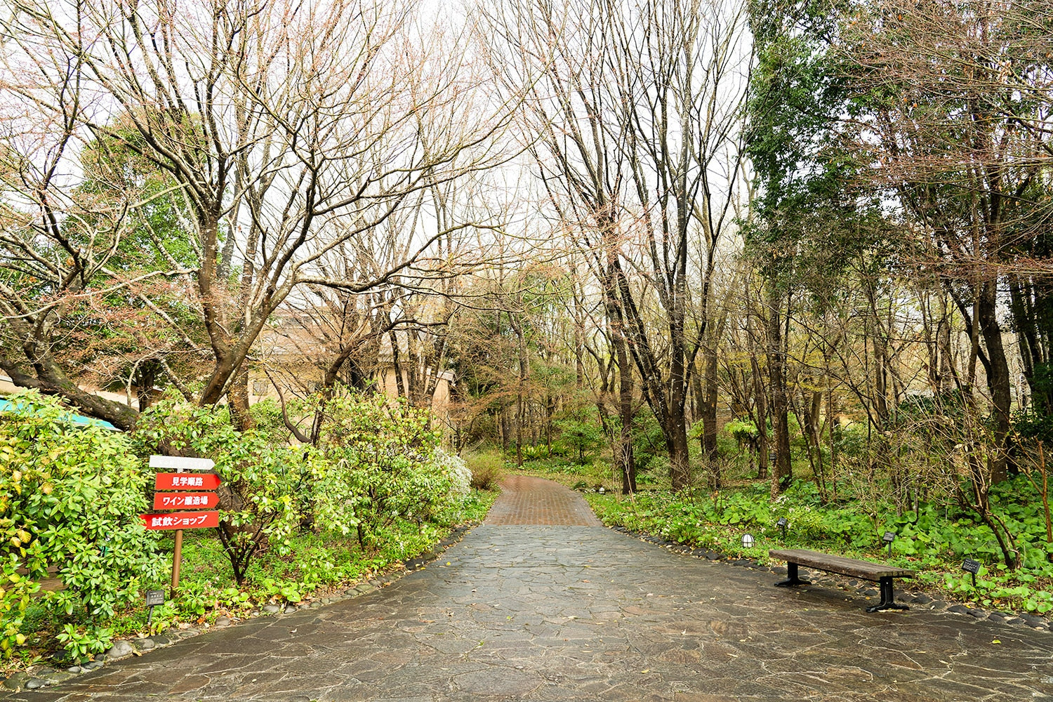 散歩道としても美しいワイナリー。ここを歩いていればいいアイディアがぽっと浮かんできそうだ。