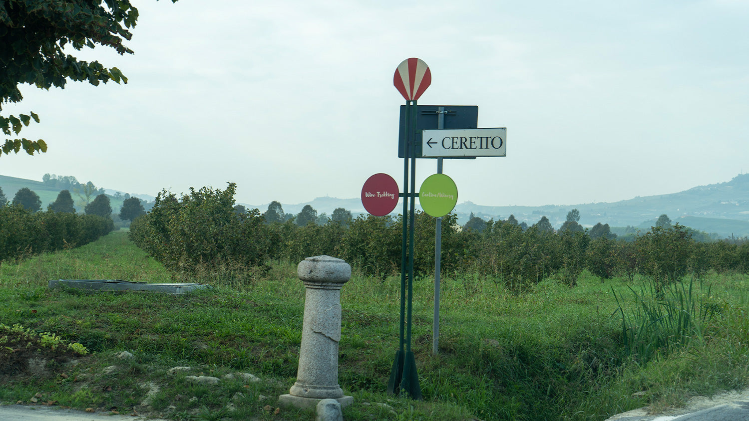 アルバからワイナリーに向かう途中には、チェレットのワイナリーを案内する道標が。