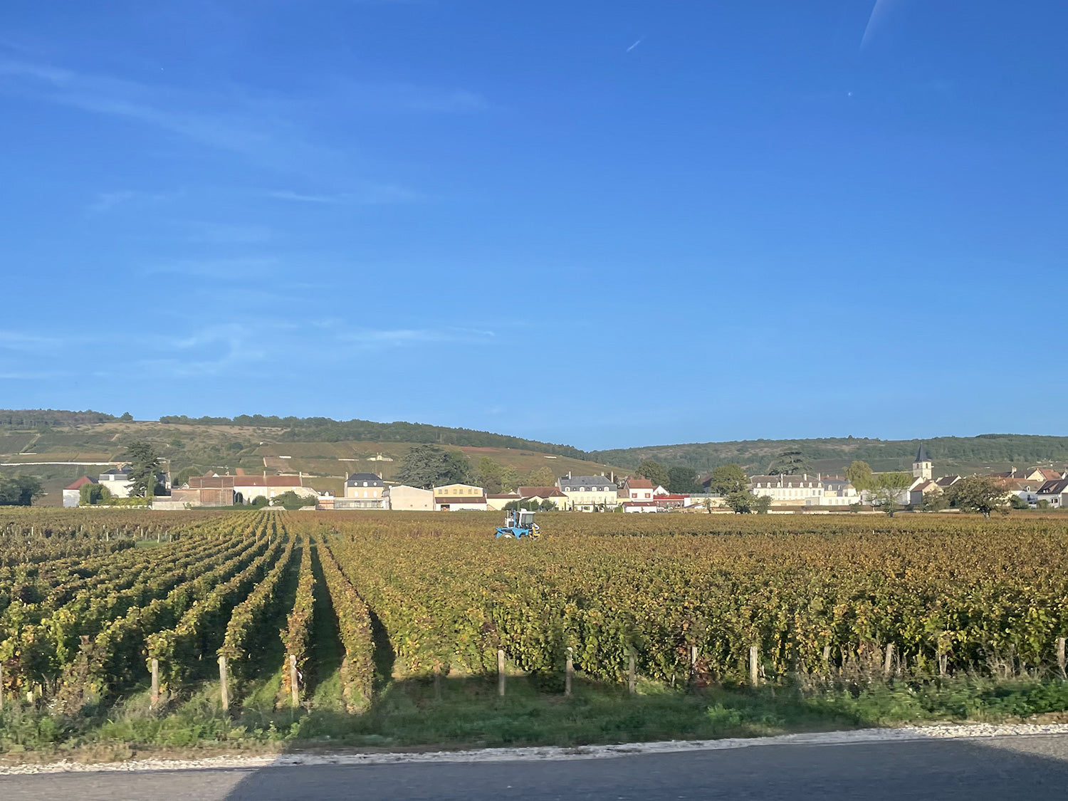 車窓から見たコード・ド・ニュイの畑。小高い丘一面にブドウ畑が並ぶ様子は息を呑む美しさ。
