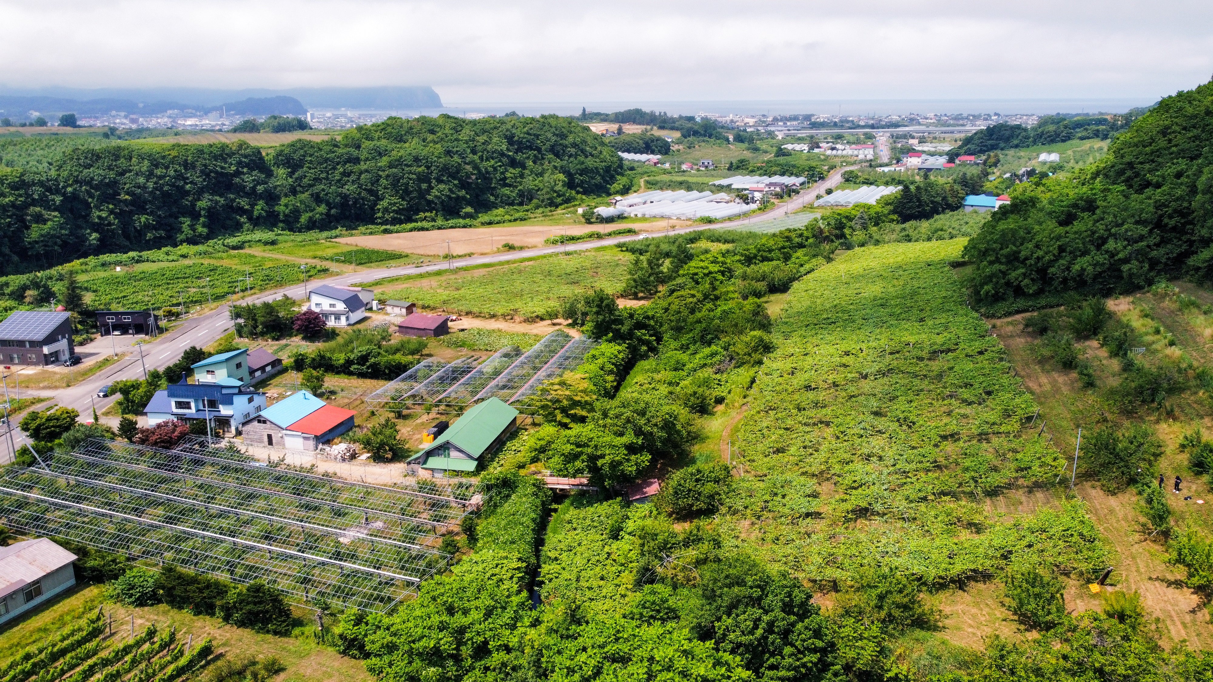 山田堂の自社圃場は自宅と醸造所の裏手、「小登川」という小川を渡った先の西向き斜面にある。