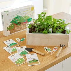 Gemüse selbstpflanzen für die Fensterbank