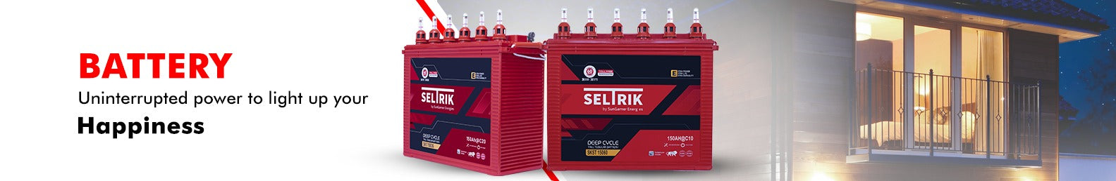 Seltrik Tall Tubular Batteries