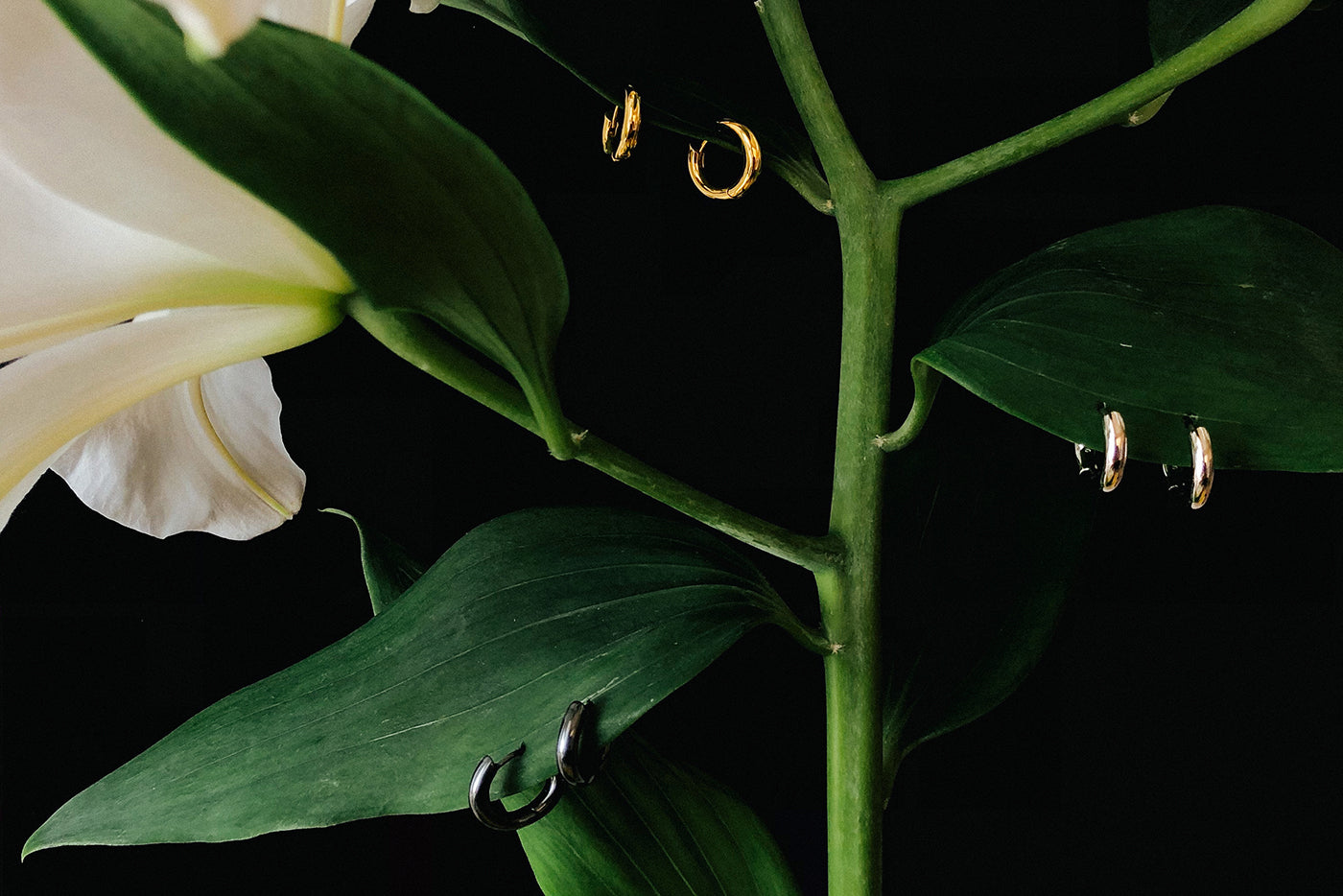 Water lillies with gold, silver and oxidised hoop earrings pierced through the leaves.