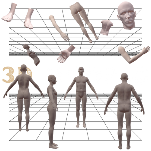 3D models.png__PID:76ce594f-c896-44ca-8979-82bf6ccc8924