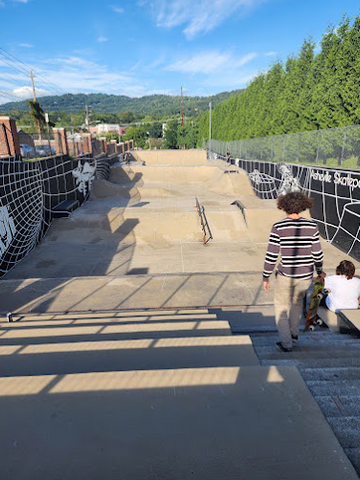 Photo of the Asheville Skate Park