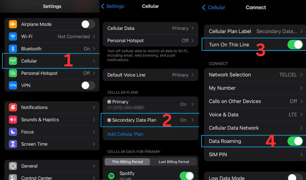 Enable Data Roaming on iphone