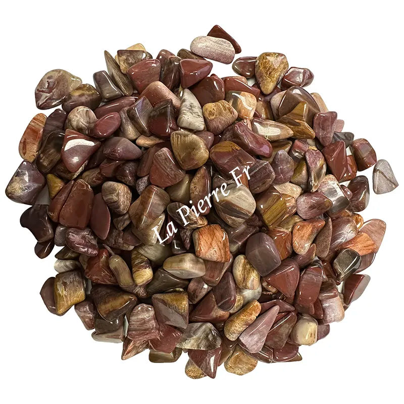 Bois fossilisé pierre naturelle – motifs ligneux pétrifiés et propriétés lithothérapie