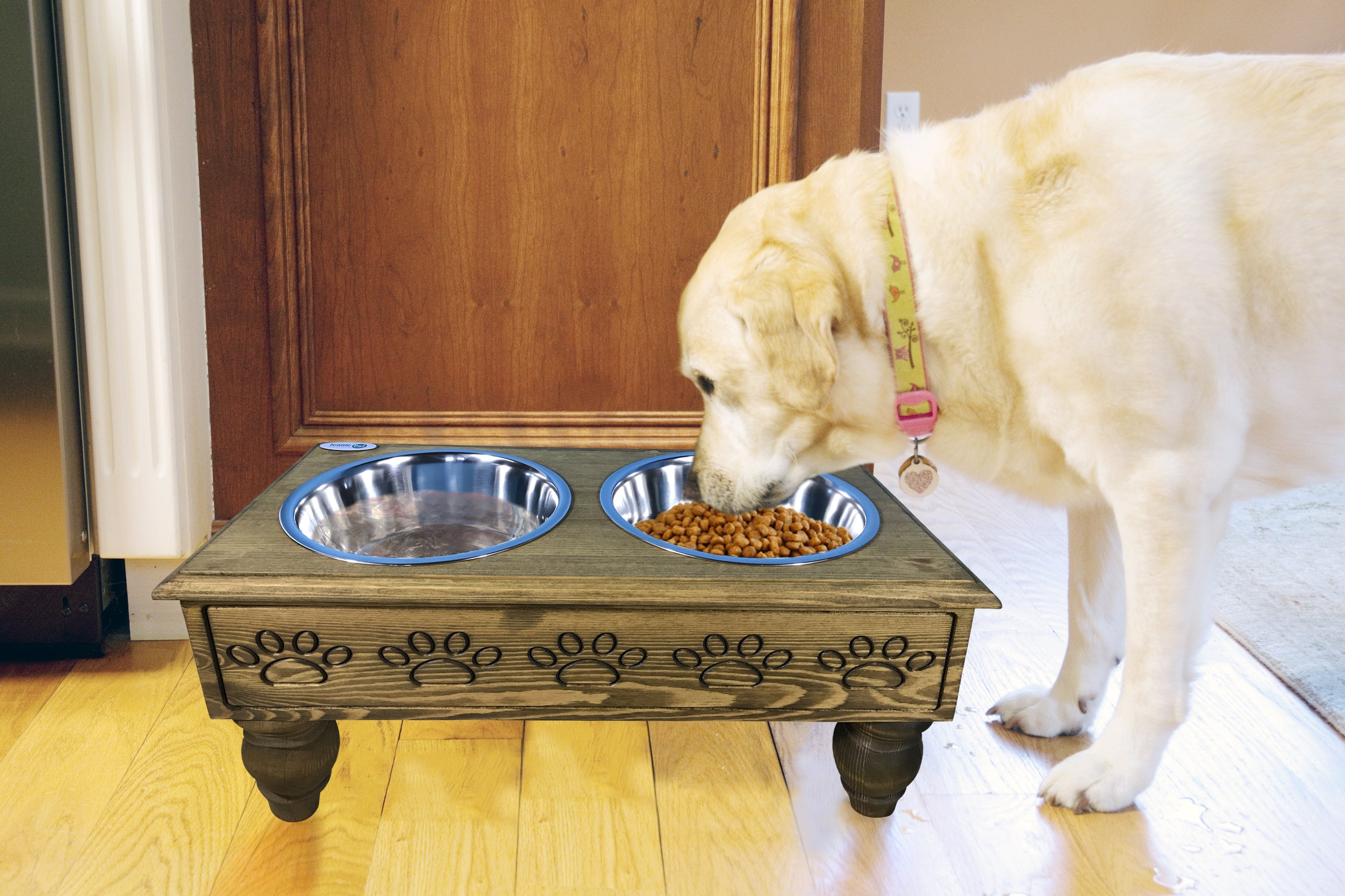 Raised Single Bowl for large dogs, two stainless-steel bowls, 24