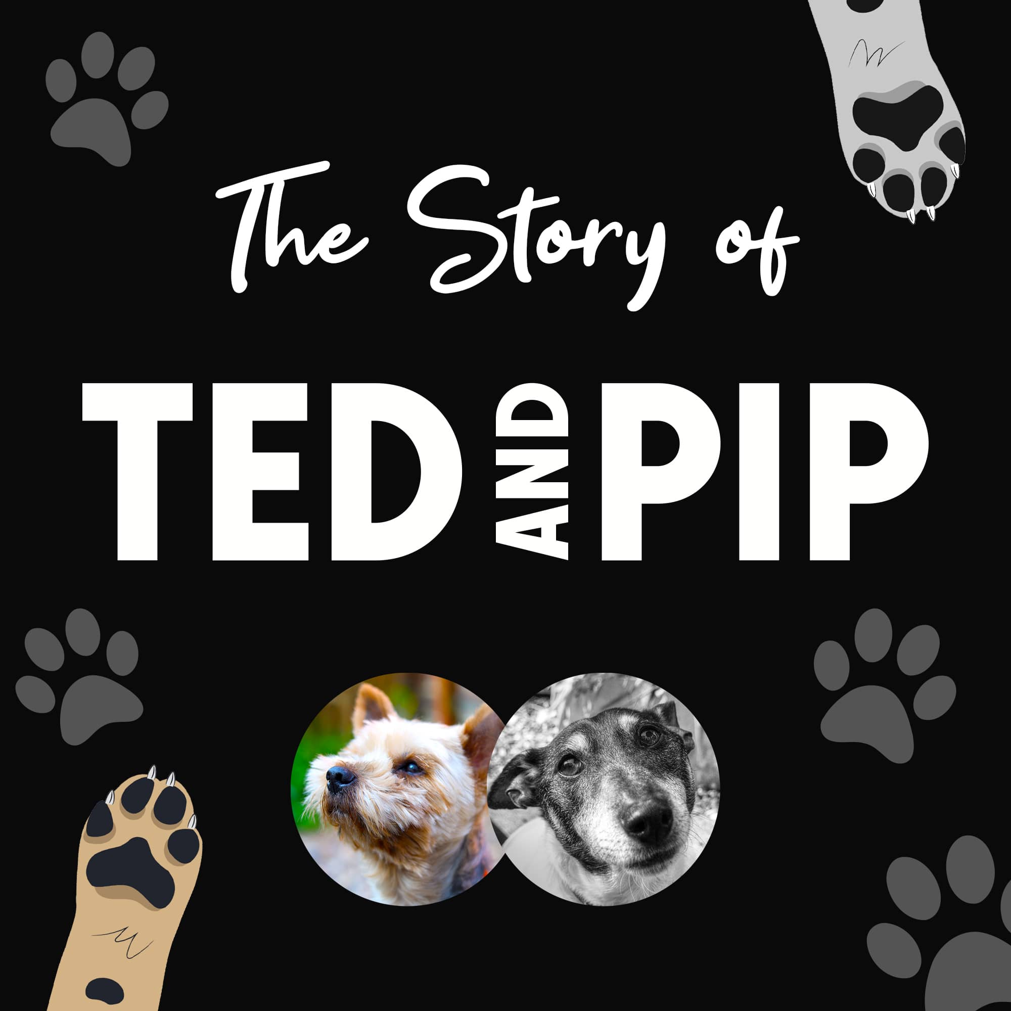 Ted & Pip - Stylish Dogwear
