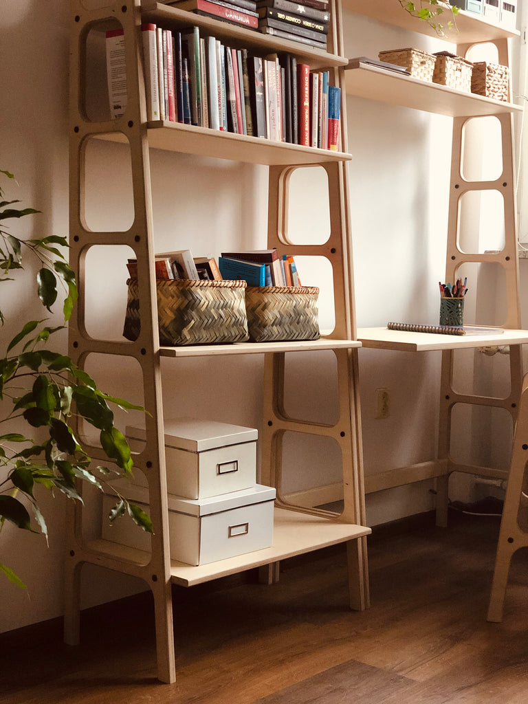 bookshelf-at-home-interior-in-daylight