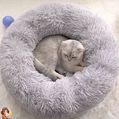 coussin-pour-chat-confort