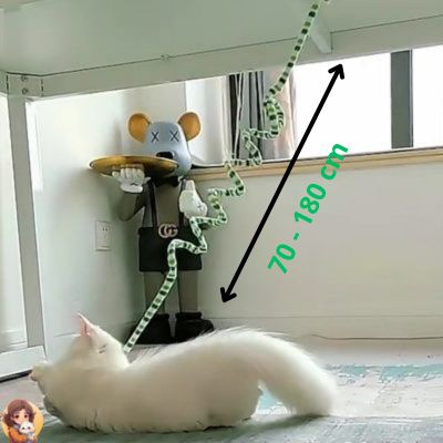 jouet suspendu pour chat