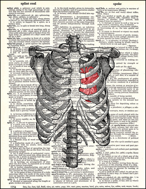 Minimal rib cage anatomy poster - Codex Anatomicus