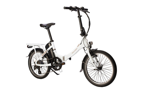 raleigh folding electric bike