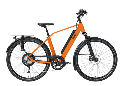 dutch electric bike brands