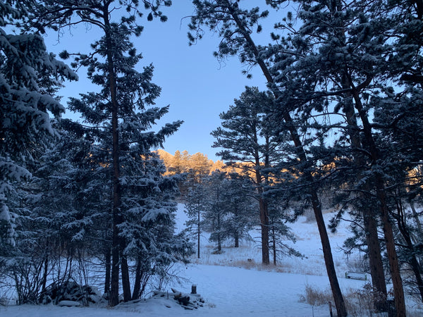 Snowy Colorado