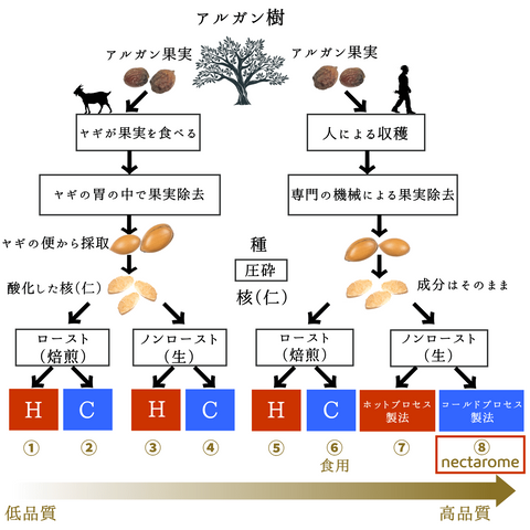 アルガンオイルの品質ランク - NECTAROME ネクタローム - YOUR ORGANICS