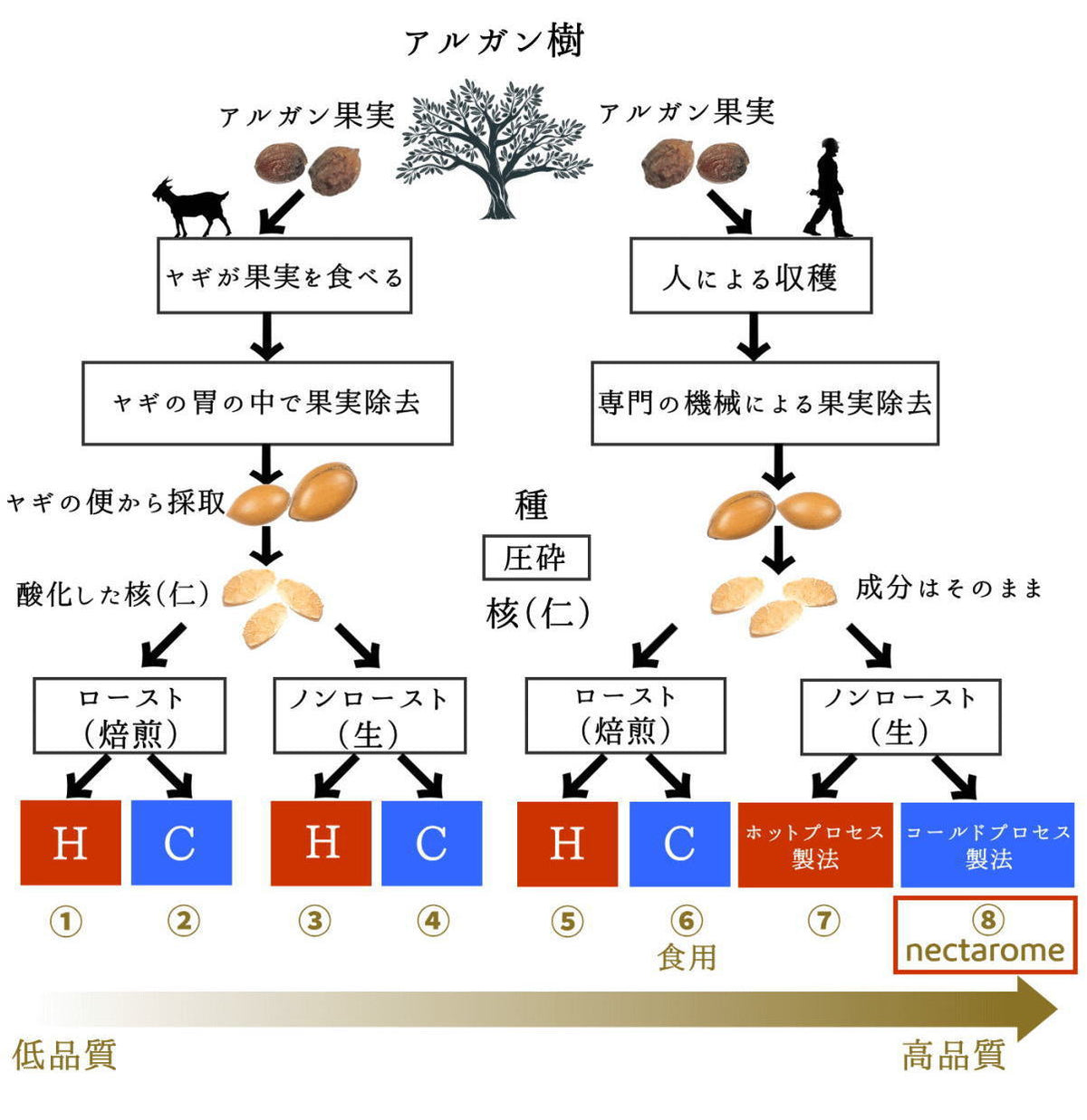 オーガニック・ガーデン NECTAROME ネクタローム オーガニック・ウチワサボテンオイル