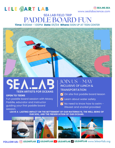 Paddle Board Session Sea Lab