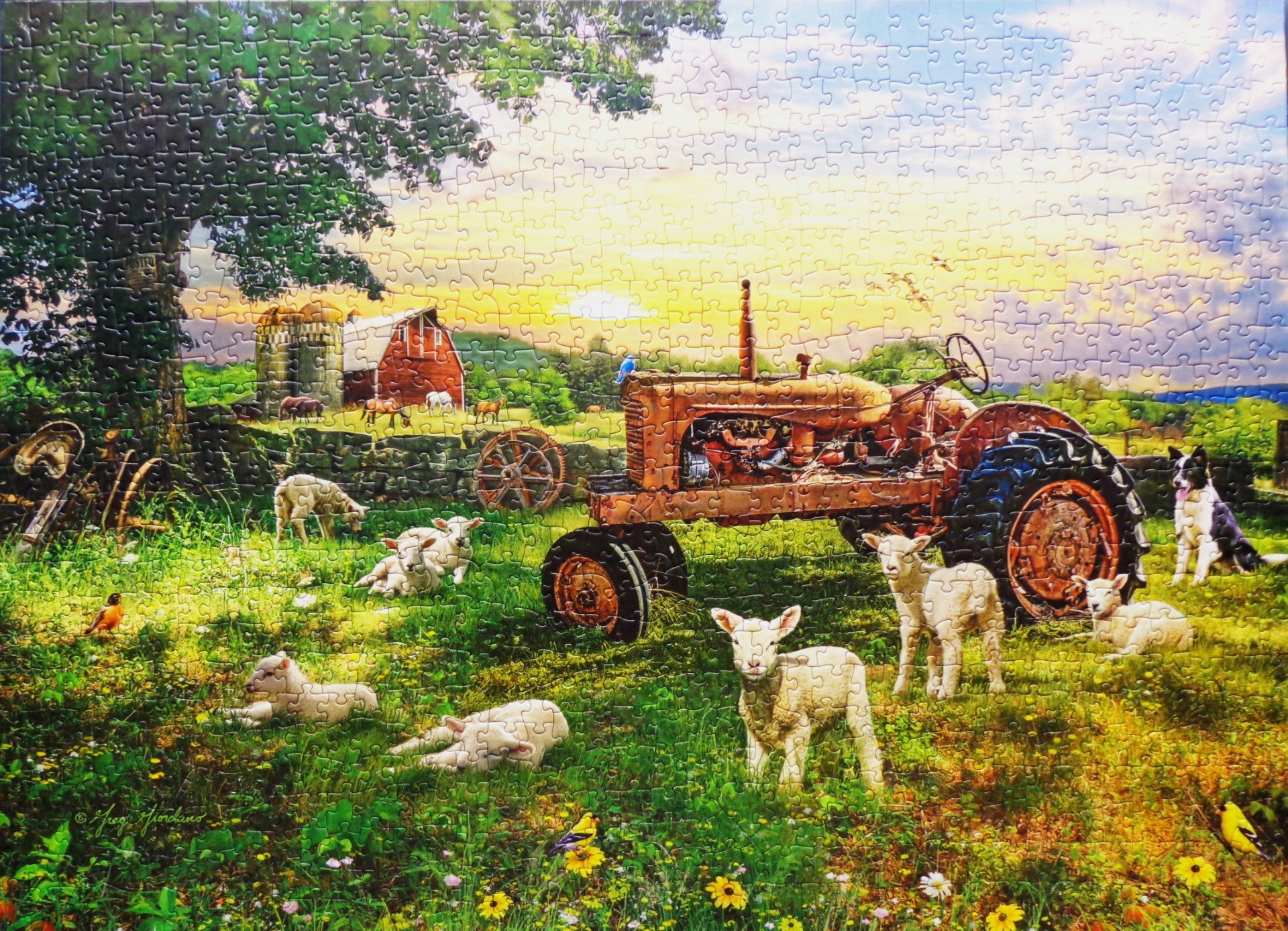 jigsaw puzzle of sheep and tractor on a farm