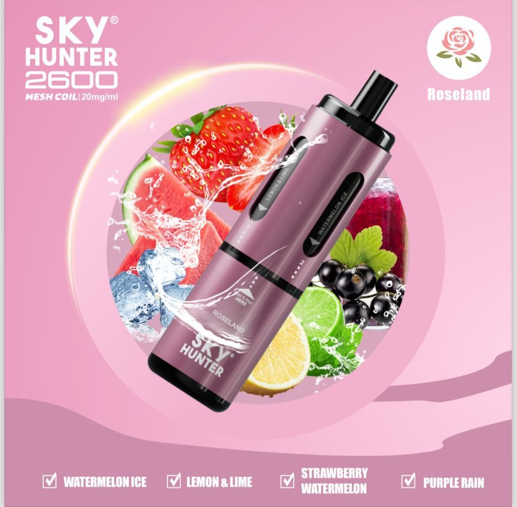 4 in 1 Sky Hunter 2600 Puffs Disposable Vape - Clouds Vapes