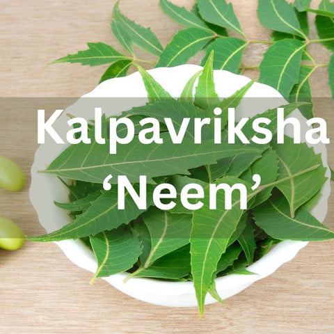 Khao bhi lagao bhi - Urbaano Herbal Ayurveda Natural-Neem