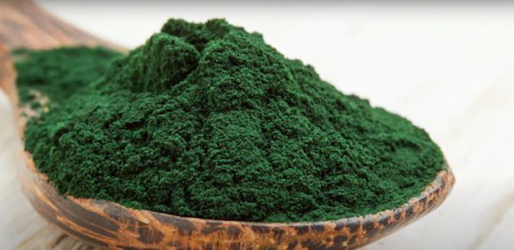 spirulina powder for dogs