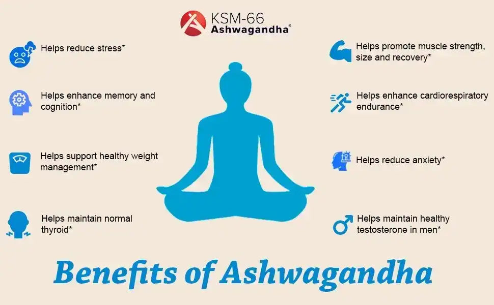 Image result for Maximize Health: Ashwagandha Perks infographics