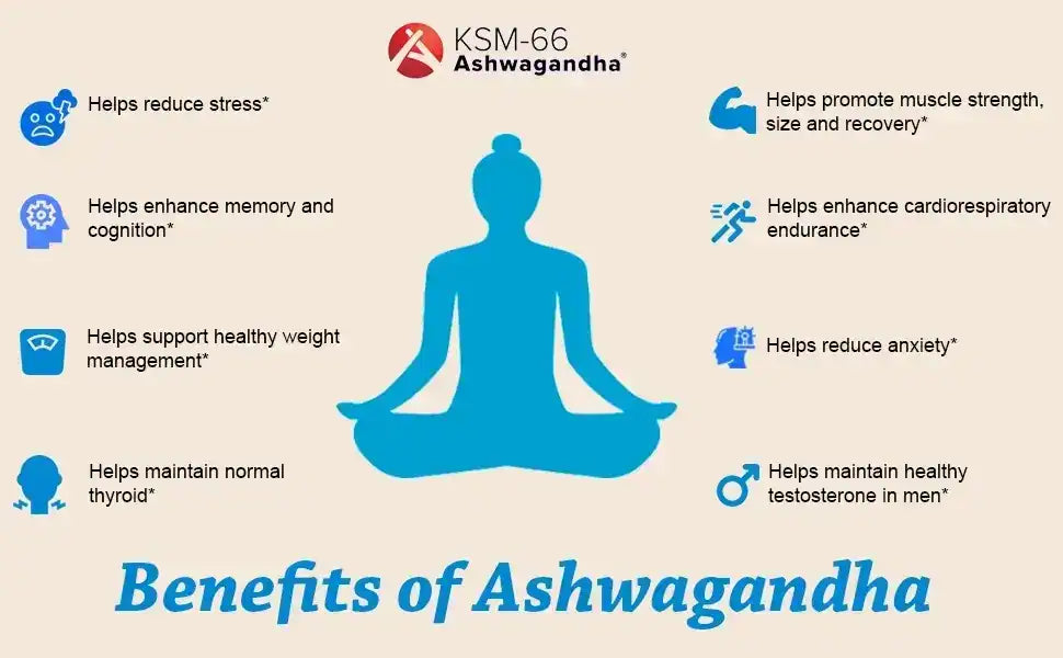 KSM 66 Ashwagandha